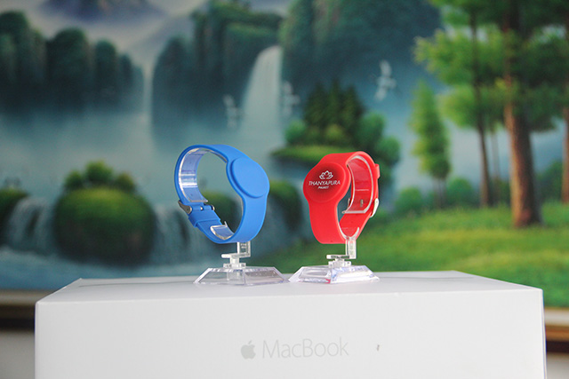 ID腕带的类型在至尊国际生涯中施展作用